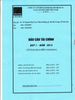 Báo cáo tài chính quý 1 năm 2014 - Công ty Cổ phần Kinh doanh Dịch vụ cao cấp Dầu khí Việt Nam