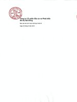 Báo cáo tài chính hợp nhất quý 3 năm 2015 - Công ty cổ phần Đầu tư và Phát triển Đô thị Sài Đồng