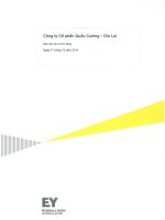 Báo cáo tài chính công ty mẹ năm 2015 (đã kiểm toán) - Công ty Cổ phần Quốc Cường Gia Lai