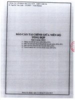Báo cáo tài chính quý 1 năm 2015 - Công ty Cổ phần Bia Sài Gòn - Miền Trung