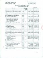 Báo cáo tài chính quý 1 năm 2015 - Công ty Cổ phần Xi măng Sài Sơn