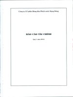Báo cáo tài chính quý 1 năm 2013 - Công ty Cổ phần Bóng đèn Phích nước Rạng Đông