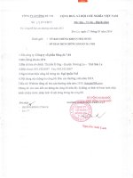 Báo cáo thường niên năm 2013 - Công ty Cổ phần Sông Đà 7.04