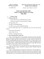 Báo cáo thường niên năm 2013 - Công ty Cổ phần Sông Đà Cao Cường