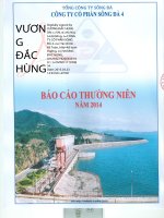 Báo cáo thường niên năm 2014 - Công ty Cổ phần Sông Đà 4