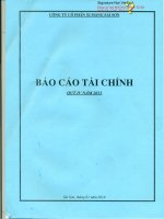Báo cáo tài chính quý 4 năm 2013 - Công ty Cổ phần Xi măng Sài Sơn