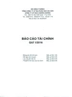 Báo cáo tài chính quý 1 năm 2016 - Công ty Cổ phần Nước giải khát Chương Dương