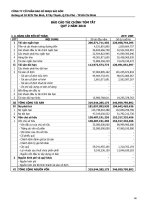 Báo cáo tài chính quý 2 năm 2010 - Công ty cổ phần Bao bì Nhựa Sài Gòn