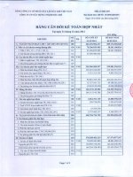 Báo cáo tài chính hợp nhất quý 4 năm 2012 - Công ty Cổ phần Xây dựng công nghiệp và dân dụng Dầu khí