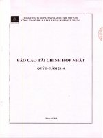 Báo cáo tài chính hợp nhất quý 1 năm 2014 - Công ty Cổ phần Xây lắp Dầu khí Miền Trung