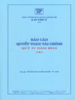 Báo cáo tài chính quý 4 năm 2012 - Công ty Cổ phần Hợp tác kinh tế và Xuất nhập khẩu SAVIMEX
