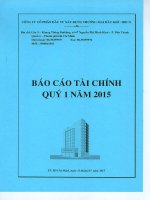 Báo cáo tài chính quý 1 năm 2015 - Công ty cổ phần Đầu tư Xây dựng Thương mại Dầu khí-IDICO