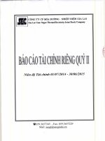 Báo cáo tài chính công ty mẹ quý 2 năm 2014 trong giai đoạn chuyển đổi - Công ty Cổ phần Mía đường Nhiệt điện Gia Lai