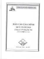 Báo cáo tài chính quý 1 năm 2015 - Công ty Cổ phần Sông Đà 7.04