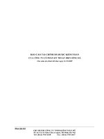 Báo cáo tài chính năm 2009 (đã kiểm toán) - Công ty cổ phần Kỹ thuật Điện Sông Đà
