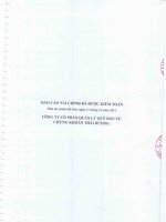 Báo cáo tài chính năm 2011 (đã kiểm toán) - Công ty Cổ phần Quản lý Quỹ Đầu tư Chứng khoán Thái Dương