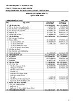 Báo cáo tài chính quý 4 năm 2009 - Công ty cổ phần Bao bì Nhựa Sài Gòn
