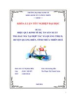 Hiệu quả kinh tế dự án sản xuất trà rau má ở HTX quảng thọ II, huyện quảng điền, tỉnh thừa thiên huế