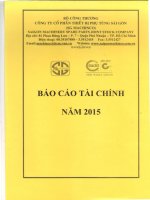 Báo cáo tài chính quý 4 năm 2015 - Công ty Cổ phần Thiết bị Phụ tùng Sài Gòn