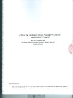 Báo cáo tài chính hợp nhất năm 2015 (đã kiểm toán) - CTCP Công nghiệp và Xuất nhập khẩu Cao Su