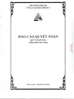 Báo cáo tài chính hợp nhất quý 1 năm 2011 - Công ty Cổ phần Sông Đà 6