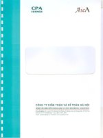 Báo cáo tài chính hợp nhất quý 2 năm 2010 (đã soát xét) - Công ty Cổ phần Sông Đà 6