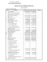 Báo cáo tài chính quý 4 năm 2009 - Công ty Cổ phần Xi măng Sông Đà Yaly