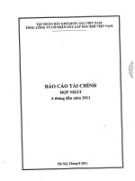 Báo cáo tài chính công ty mẹ quý 2 năm 2011 (đã soát xét) - Tổng Công ty cổ phần Xây lắp Dầu khí Việt Nam