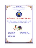 Tình hình thu hút vốn đầu tư nước ngoài tại khu kinh tế chân mây   lăng cô