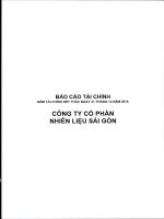 Báo cáo tài chính năm 2015 (đã kiểm toán) - Công ty Cổ phần Nhiên liệu Sài Gòn