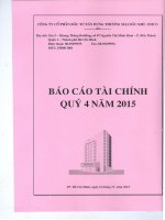 Báo cáo tài chính quý 4 năm 2015 - Công ty cổ phần Đầu tư Xây dựng Thương mại Dầu khí-IDICO