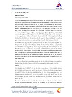 Bản cáo bạch - Công ty Cổ phần Sông Đà 4