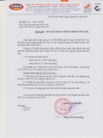 Báo cáo tài chính quý 2 năm 2015 - Công ty Cổ phần Lương thực Thực phẩm Safoco