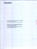 Báo cáo tài chính hợp nhất quý 2 năm 2013 (đã soát xét) - Công ty Cổ phần Xây dựng công nghiệp và dân dụng Dầu khí