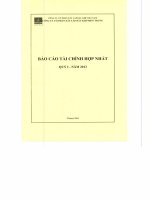 Báo cáo tài chính hợp nhất quý 1 năm 2013 - Công ty Cổ phần Xây lắp Dầu khí Miền Trung