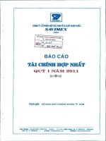 Báo cáo tài chính hợp nhất quý 1 năm 2011 - Công ty Cổ phần Hợp tác kinh tế và Xuất nhập khẩu SAVIMEX