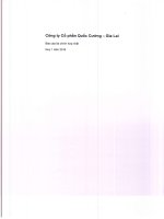 Báo cáo tài chính hợp nhất quý 1 năm 2016 - Công ty Cổ phần Quốc Cường Gia Lai