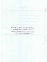 Báo cáo tài chính năm 2010 (đã kiểm toán) - Công ty Cổ phần Quản lý Quỹ Đầu tư Chứng khoán Thái Dương