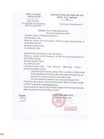 Báo cáo tài chính hợp nhất quý 2 năm 2015 - Công ty Cổ phần Sơn Hà Sài Gòn