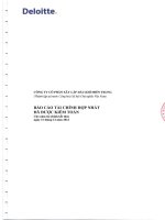 Báo cáo tài chính hợp nhất năm 2012 (đã kiểm toán) - Công ty Cổ phần Xây lắp Dầu khí Miền Trung