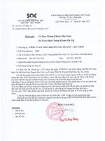 Báo cáo tài chính quý 1 năm 2015 - Công ty Cổ phần Khoáng sản Sài Gòn - Quy Nhơn