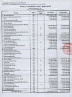 Báo cáo tài chính hợp nhất quý 2 năm 2013 - Công ty Cổ phần Đầu tư Phát triển Đô thị và Khu Công nghiệp Sông Đà