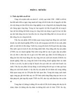 Nghiên cứu tình hình tiêu thụ sản phẩm gạch đất sét nung ở Công ty cổ phần đầu tư và xây dựng Tiền Hải