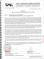 Báo cáo tài chính quý 2 năm 2011 (đã soát xét) - Công ty Cổ phần Đầu tư Phát triển Đô thị và Khu Công nghiệp Sông Đà