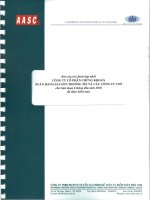 Báo cáo tài chính hợp nhất quý 2 năm 2010 (đã soát xét) - Công ty Cổ phần Chứng khoán Ngân hàng Sài Gòn Thương Tín