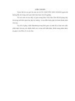 Xây dựng bản đồ hiện trạng lớp phủ mặt đất bằng công nghệ viễn thám và GIS.