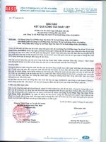 Báo cáo KQKD hợp nhất quý 2 năm 2010 (đã kiểm toán) - Công ty Cổ phần Hợp tác kinh tế và Xuất nhập khẩu SAVIMEX