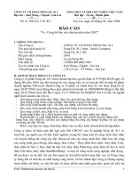Báo cáo thường niên năm 2007 - Công ty TNHH MTV Sông Đà 10.1