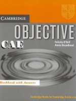 Objective CAE workbook