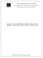 Báo cáo thường niên năm 2013 - Công ty Cổ phần Đại lý Vận tải SAFI